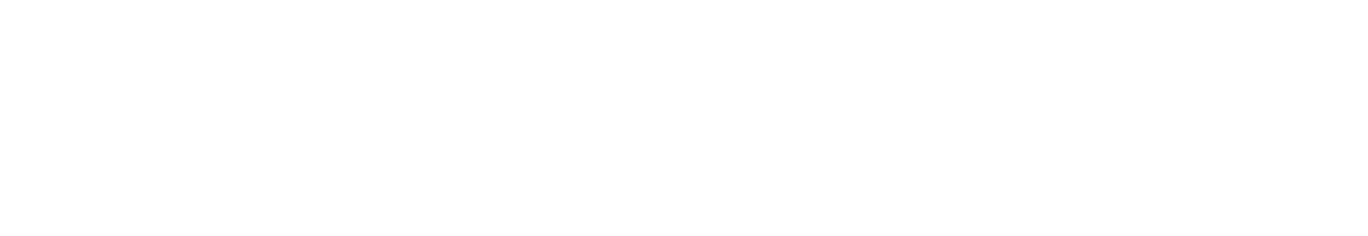 Hazel Park Promise Zone logo